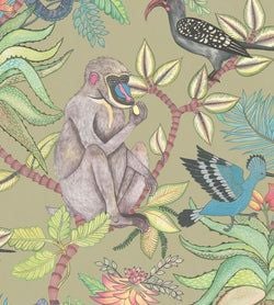 Color – Bright Multi on Old Olive