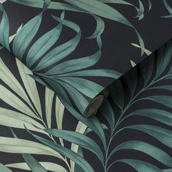 Color – Midnight
