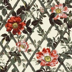 Color – Cinnabar