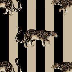 Color – Clay & Black