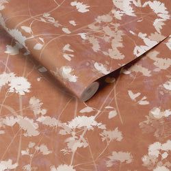 Color – Clay