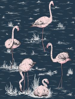 Color – Blush on Midnight