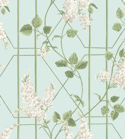 Color – Stone & Olive on Duck Egg