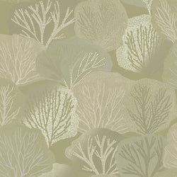 Color – Sage