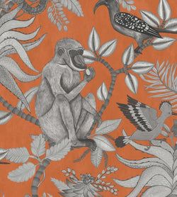 Color – Soot on Tangerine