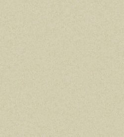 Color – Oat