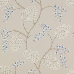 Color – Blue/Beige