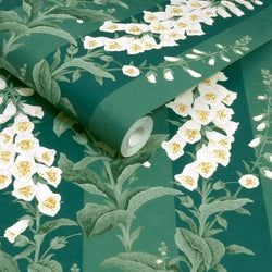 Color – Teal