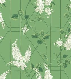 Color – Sage on Leaf Green