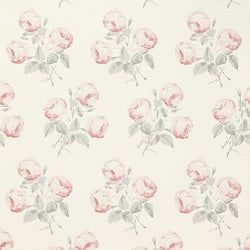 Color – Pink/Grey