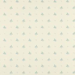 Color – Aqua