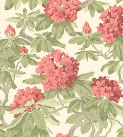 Rose, Olive on White
