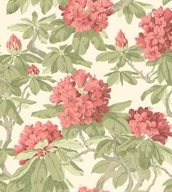 Color – Rose, Olive on White