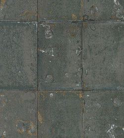 Color – Metallic Gilver (Foil)