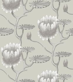 Color – White on Stone