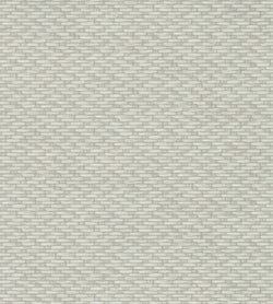 Color – Old Olive
