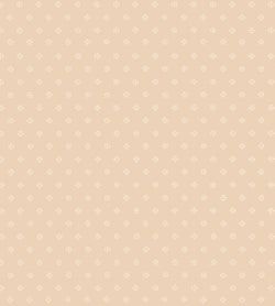 Color – Plaster Pink