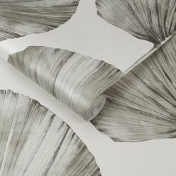 Color – Stone