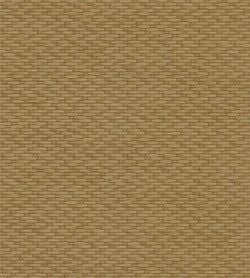Color – Ginger