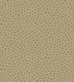 Color – Old Olive & Metallic Bronze