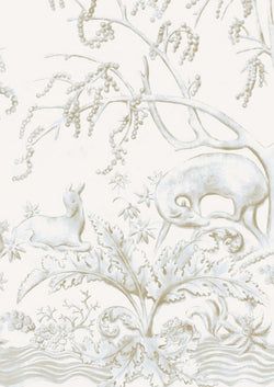 Eucalyptus