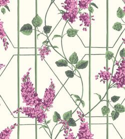 Color – Magenta & Leaf Green on Chalk
