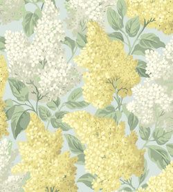 Color – Lemon & Soft Olive on Sea Foam