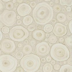 Color – Birch