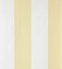 Color – Dayroom Yellow