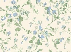 Color – Cerulean & Sky on White