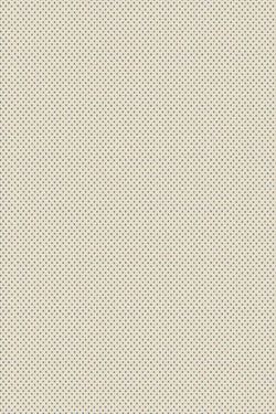Color – Lime White