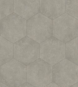 Color – Metallic Silver on Grey