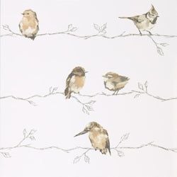 Color – Neutral/Chalk