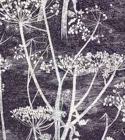 Color – Soot & Snow