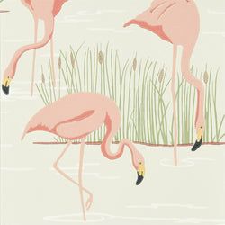 Color – Limestone / Blush / Fern