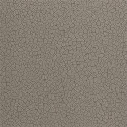 Color – Gobi