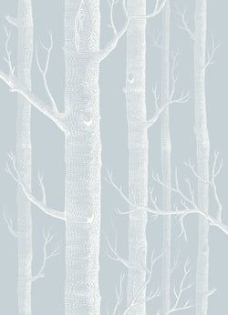 Color – Chalk on Powder Blue