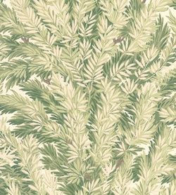 Color – Olive on Cream