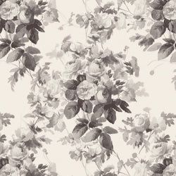 Color – Smoke Grey