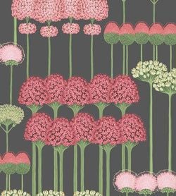 Color – Coral & Leaf Green on Charcoal