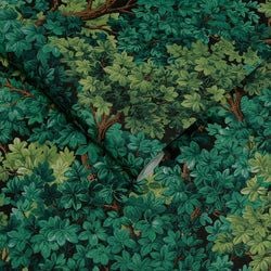 Color – Forest
