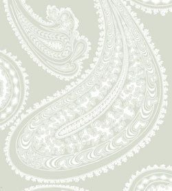 Color – Chalk on Soft Olive