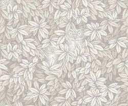 Color – White
