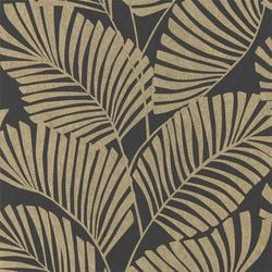 Color – Ebony