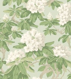 White, Olive Green on Duck Egg