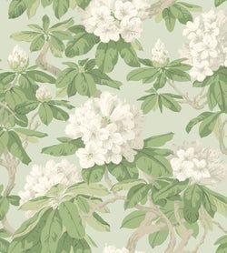 Color – White, Olive Green on Duck Egg