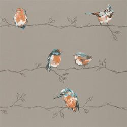 Color – Tangerine/Duckegg