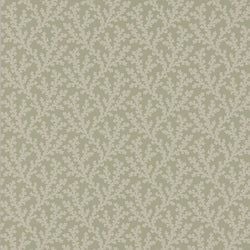 Color – Willow