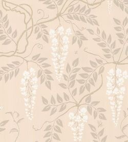 Color – Chalk on Oat
