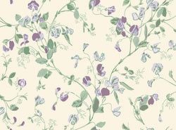 Color – Mulberry & Sage on Cream